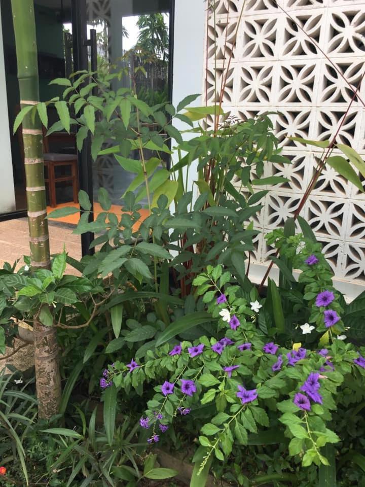 Villa D'Orange Siem Reap Buitenkant foto